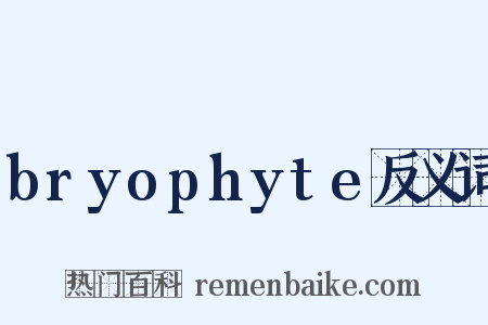 bryophyte反义词是什么意思的图片